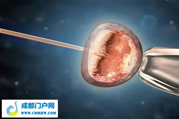 单身人士在柬埔寨做试管是否违法