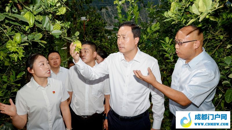 赵波：全力以赴推动重点项目重点产业提速提质提效，为甘孜州经济社会高质量发展蓄势赋能